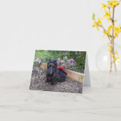 Carte Ladybug Baby (Fleur jaune)