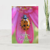 Carte Ladybug Birthday Card (Devant)