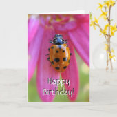 Carte Ladybug Birthday Card (Fleur jaune)
