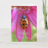 Carte Ladybug Birthday Card (Devant)