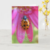 Carte Ladybug Birthday Card (Fleur jaune)