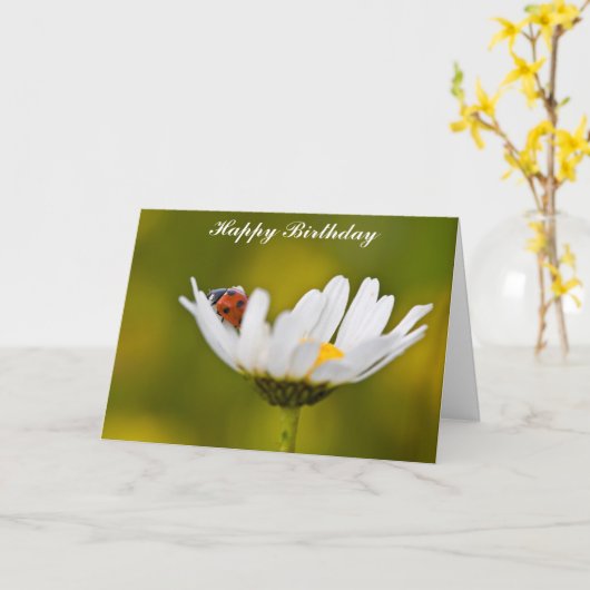 Carte Ladybug dans Oxeye Daisy Birthday Card (Fleur jaune)