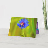 Carte Ladybug dot beetle Office Destiny Destiny Personna (Dos)