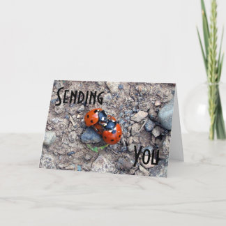 Carte Ladybug Kisses