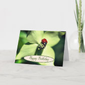 Carte Ladybug Sur La Fleur De Dogwood Anniversaire (Devant)