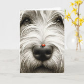Carte Ladybug sur le nez de Shaggy Dog (Fleur jaune)
