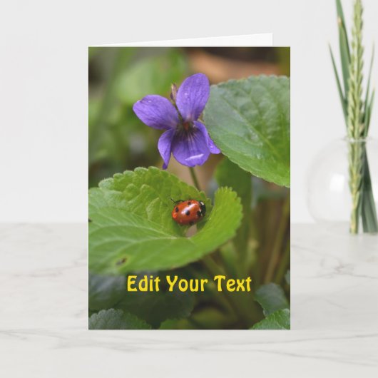 Carte Ladybug sur les fleurs de violet doux (Devant)