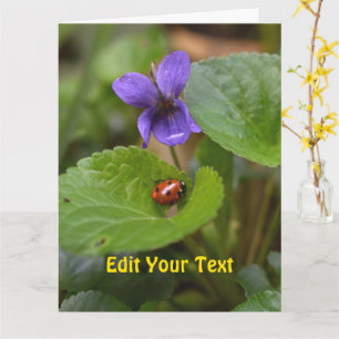 Carte Ladybug sur les fleurs de violet doux
