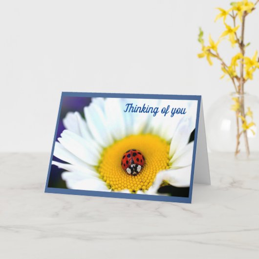 Carte Ladybug sur White Daisy (Fleur jaune)