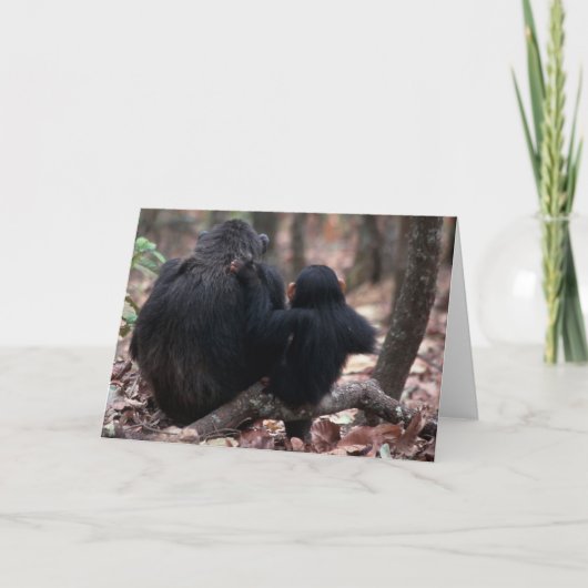 Carte L'Afrique, Afrique de l'Est, Tanzanie, (Devant)