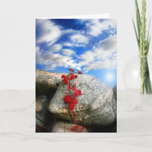 Carte L'air frais (Devant)