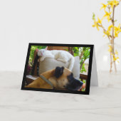 Carte Laissez les chats endormis (Fleur jaune)