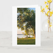 Carte Lake Sunrise Bench, Yahara Park Place, Wisconsin (Fleur jaune)