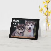 Carte "L'ALASKAN MALAMUTE LES SOUHAITS DE 40ème ANNIVERS (Fleur jaune)