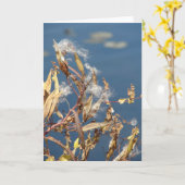 Carte L'algue dans la zone naturelle (Fleur jaune)