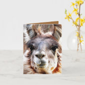 Carte Lama (Fleur jaune)