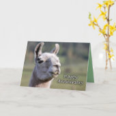 Carte Lama heureux d'anniversaire de l'anniversaire (Fleur jaune)