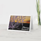 Carte L'amandier la nuit (Devant)