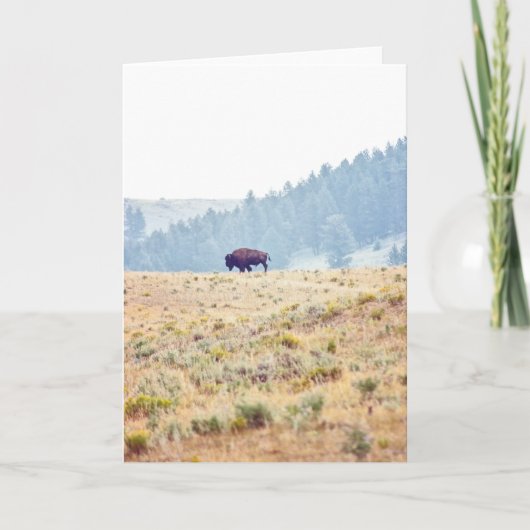 Carte Lamar (Devant)