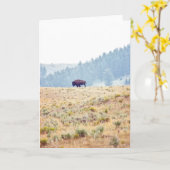 Carte Lamar (Fleur jaune)