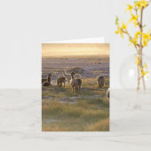 Carte Lamas dans le coucher du soleil (Fleur jaune)