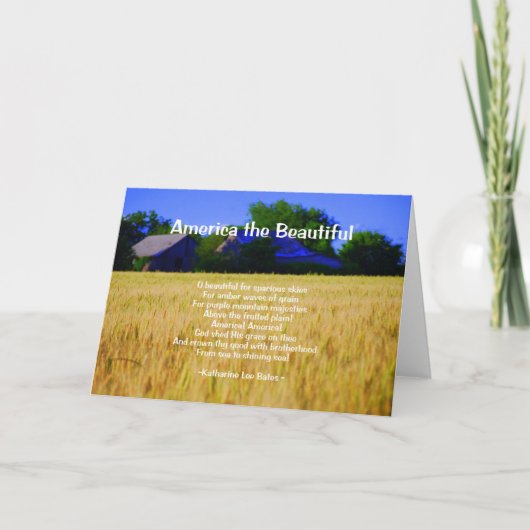 Carte L'Amérique aux beaux (Devant)