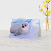 Carte L'Amérique du Nord, Canada, Golfe de St Lawrence. (Fleur jaune)