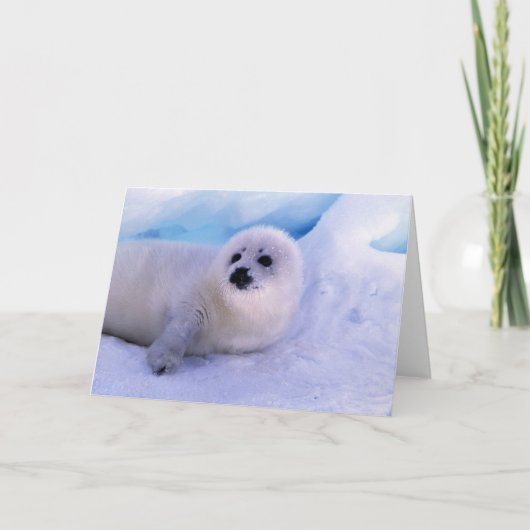 Carte L'Amérique du Nord, Canada, Golfe de St Lawrence. (Devant)