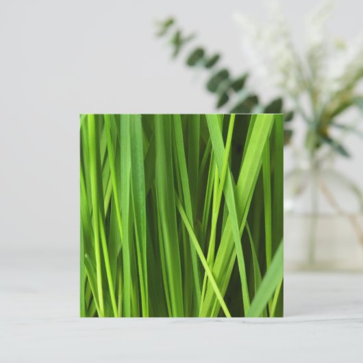 Carte Lames d'herbe (Debout devant)