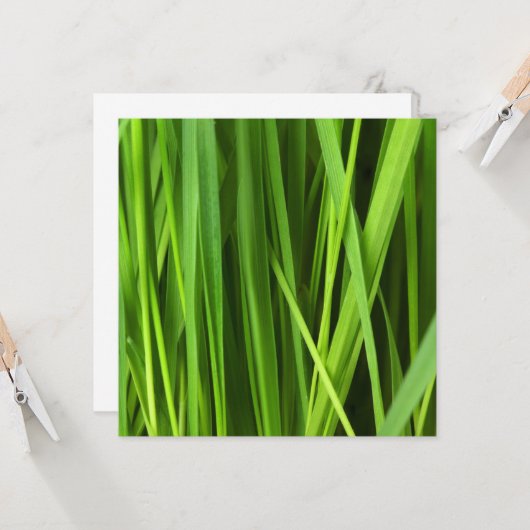 Carte Lames d'herbe (Devant/Arrière en situation)