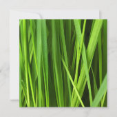 Carte Lames d'herbe (Devant)