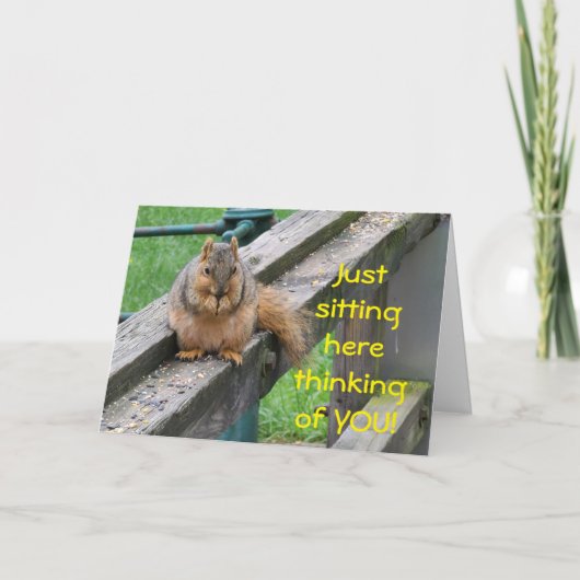 CARTE L'AMICAL SQUIRREL DIT "JOLI ANNIVERSAIRE" (Devant)