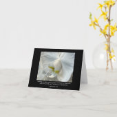 Carte L'amitié des orchidées blanches dit-David Avocado  (Fleur jaune)