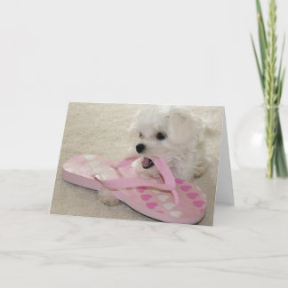 Carte L'amour des chaussures