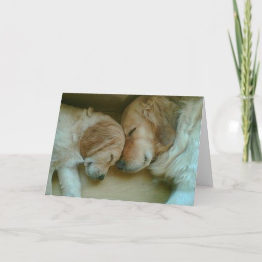 Carte L'amour d'or (Devant)