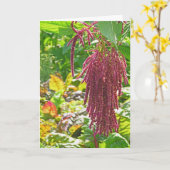 CARTE "L'AMOUR EST LE SOLEIL" (PLANTE AMARANTHUS CAUDATU (Fleur jaune)