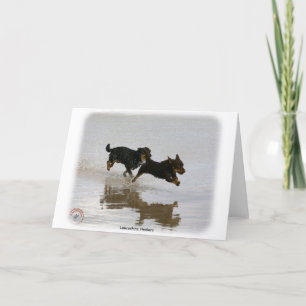 Carte Lancashire Heeler 9R056D-182