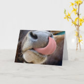 Carte Langue de vache (Fleur jaune)