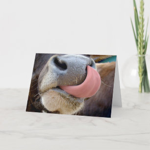 Carte Langue des vaches