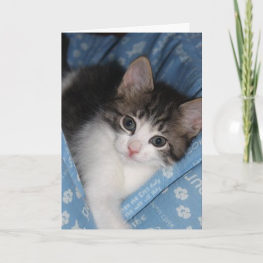 Carte L'anniversaire souhaite "le (Devant)