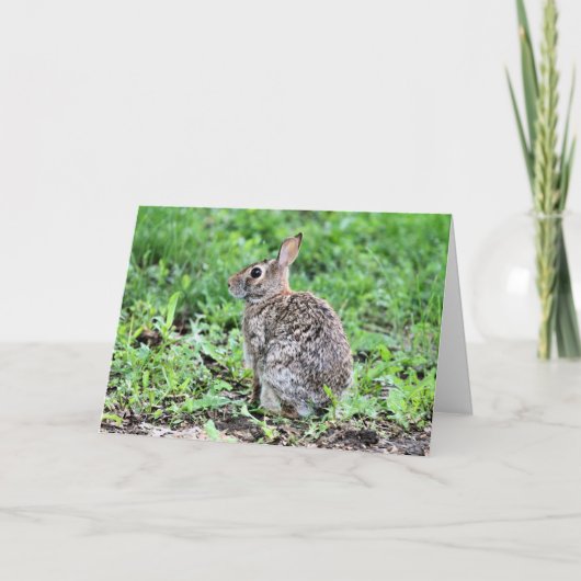 Carte Lapin (Devant)
