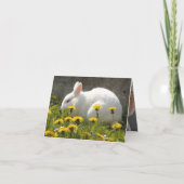 Carte Lapin (Dos)