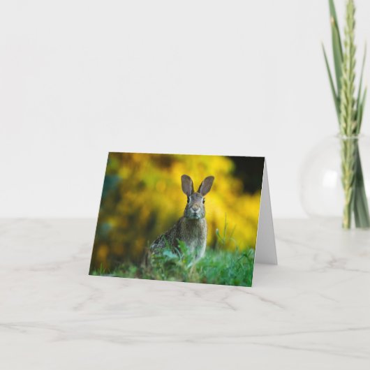Carte Lapin (Devant)