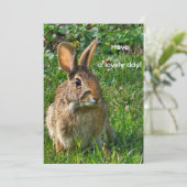 Carte Lapin à queue blanche de l'Est (Debout devant)