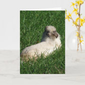 Carte Lapin à tête de lionceau dans l'herbe (Fleur jaune)