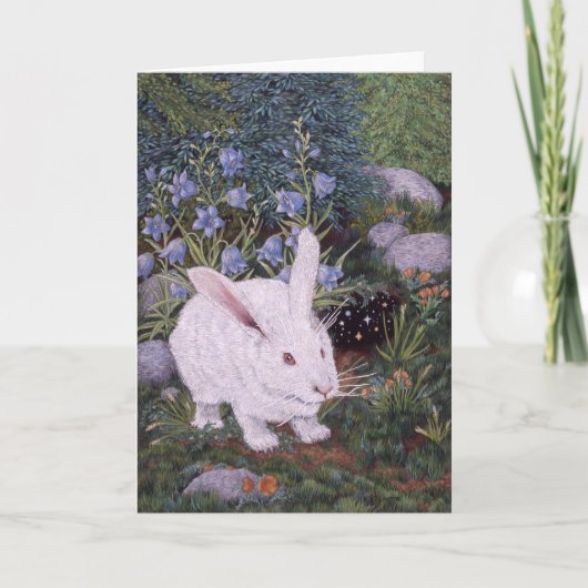 Carte Lapin blanc, par Darlene P. Coltrain (Devant)