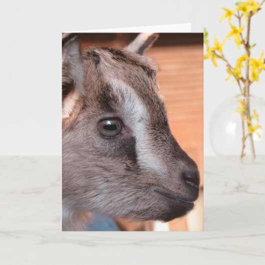 Carte Lapin Bouteille Chèvre (Fleur jaune)