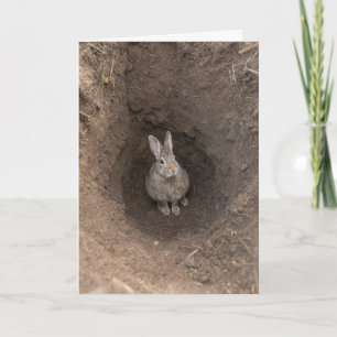 Carte Lapin d'anniversaire dans un trou de terre