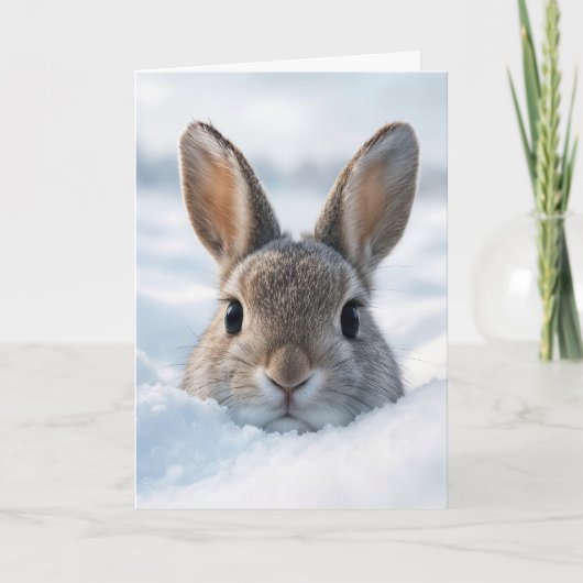 Carte Lapin d'anniversaire dans une congère (Devant)