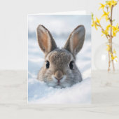 Carte Lapin d'anniversaire dans une congère (Fleur jaune)
